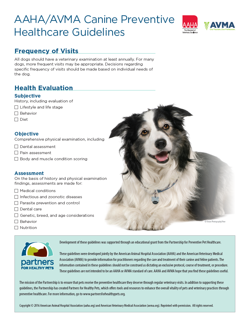 Link to Canine Preventive Care Guidelines