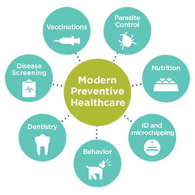 Modern Preventive Health Wheel