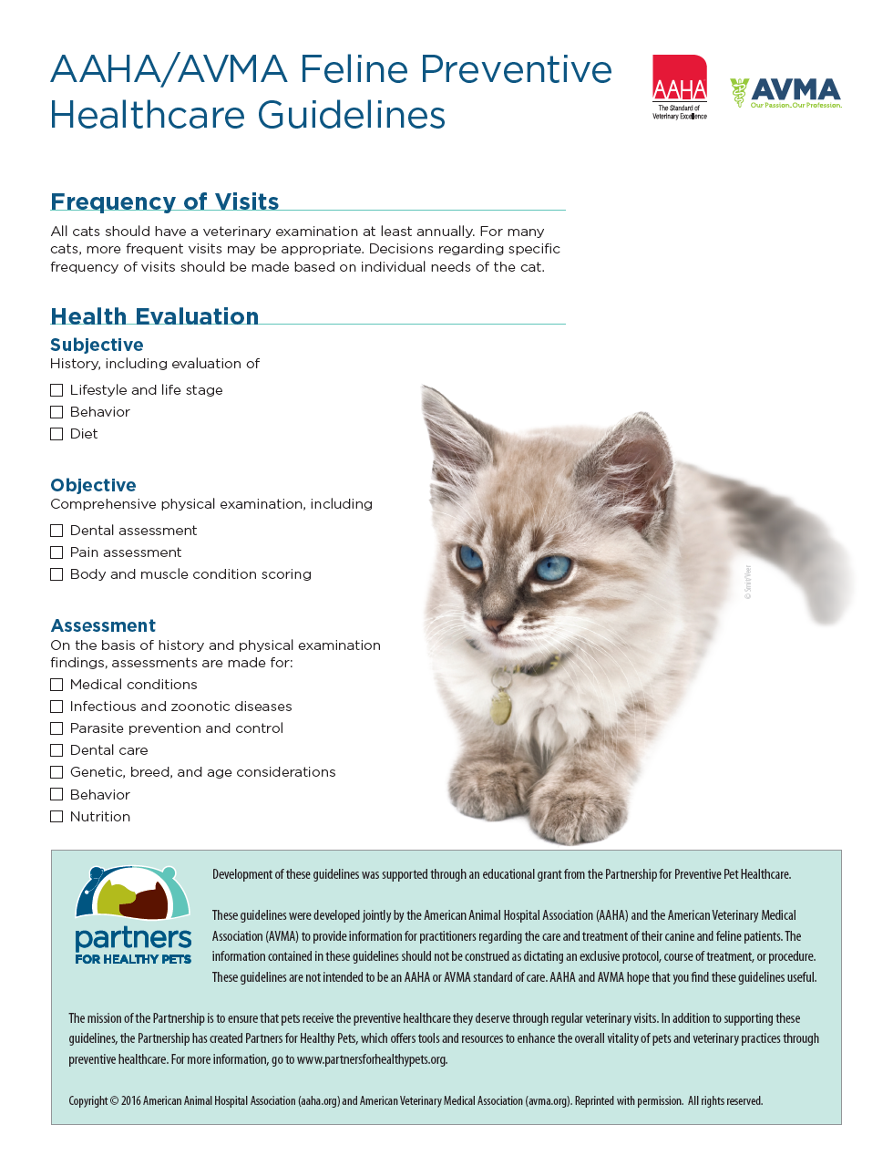 Link to Feline Preventive Care Guidelines