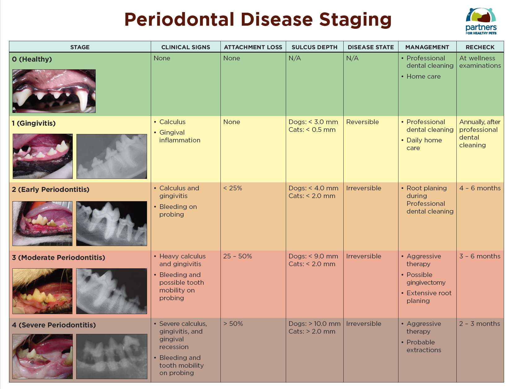 Periodontal Disease Staging Chart