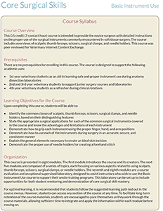 Course syllabus
